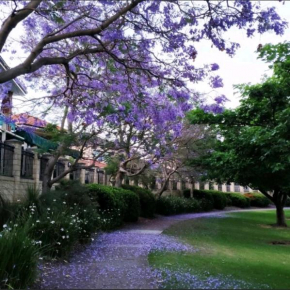 lovely Double room share bathroom and kitchen, Perth